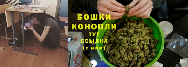 прущий лед Абаза