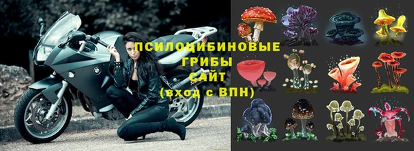 индика Абдулино