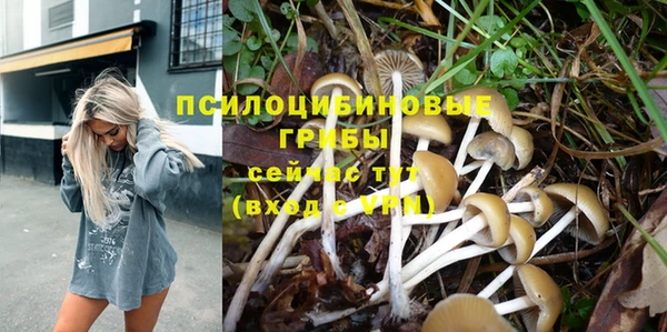 индика Абдулино