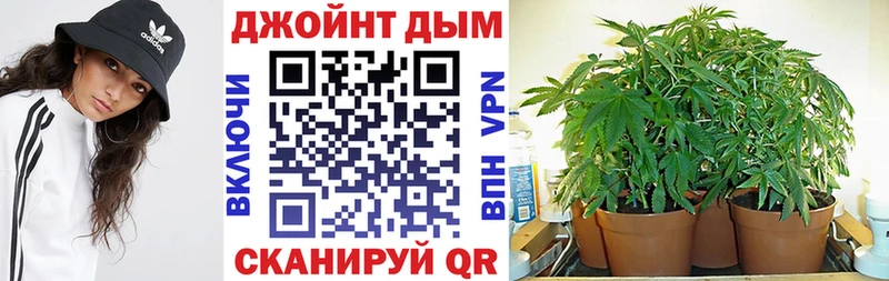 цены   Иланский  МАРИХУАНА конопля 